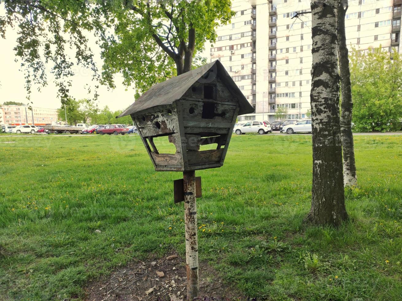 old wooden feeder for birds and animals photo