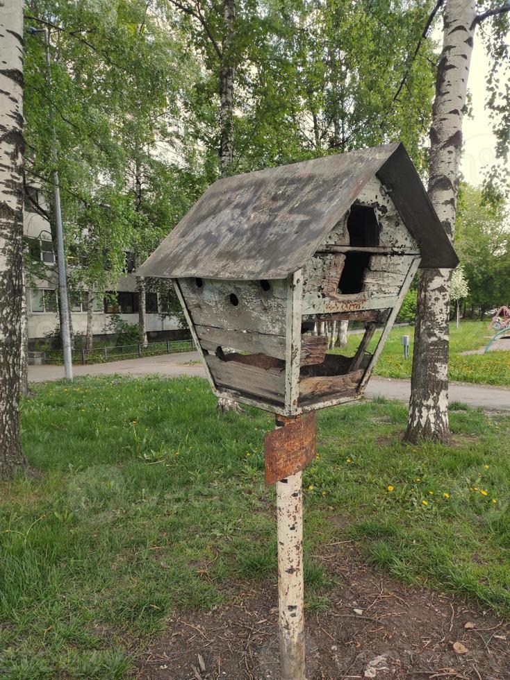 old wooden feeder for birds and animals photo