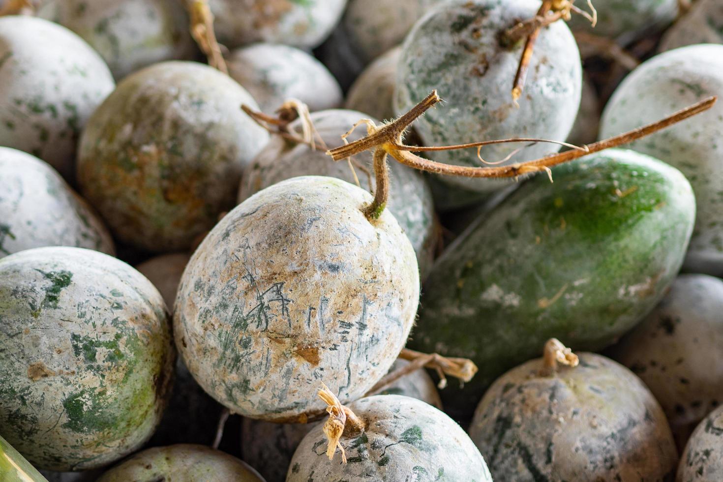 Pile of fresh winter melon or benincasa hispida for sale in market photo