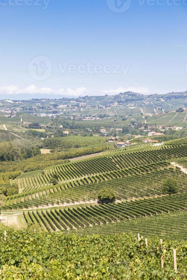 paisaje panorámico en la región de piamonte, italia. pintoresca colina de viñedos cerca de la ciudad de Barolo. foto