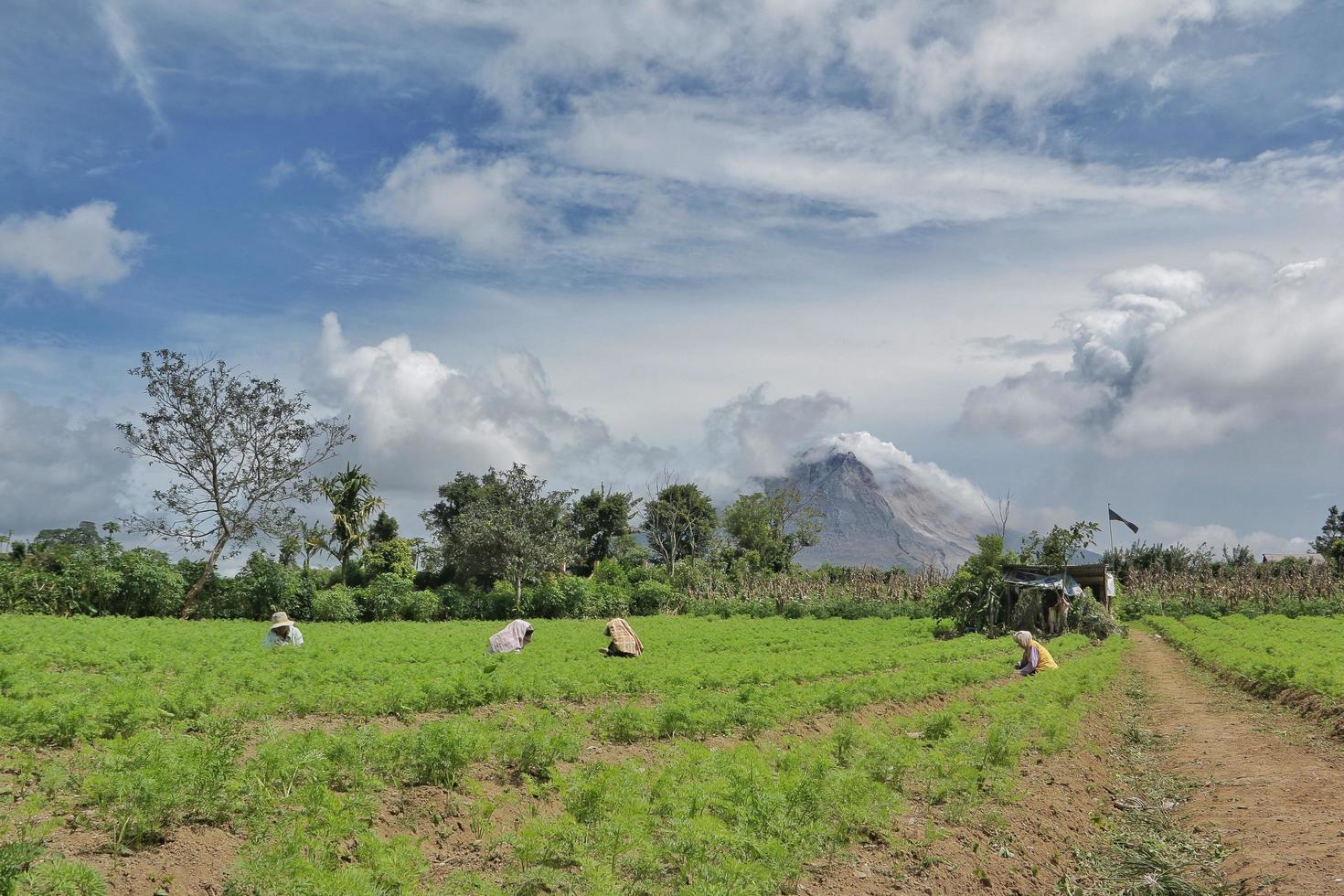 paisaje montaña sinabung con granjero foto