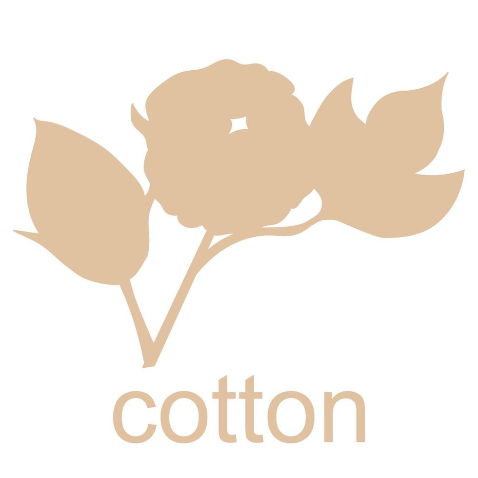 Cotton plant logo. Hand drawn wedding grass with elegant leaves. vector