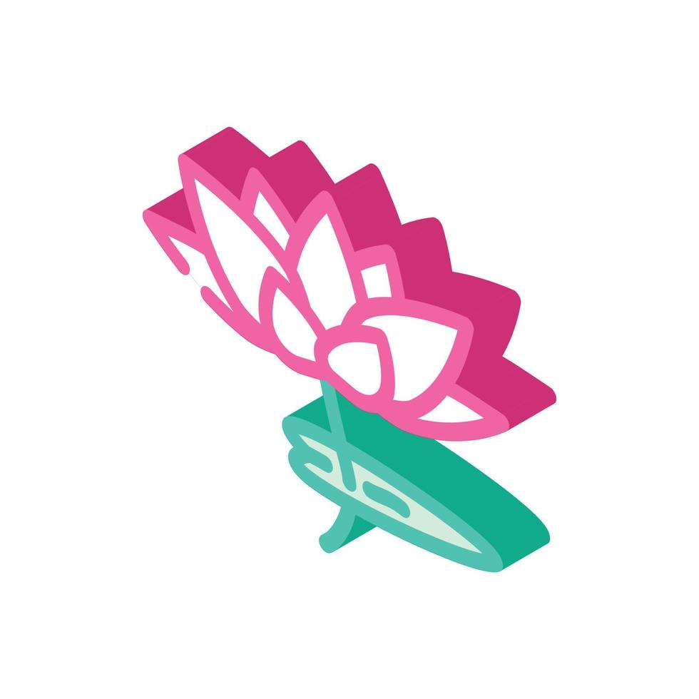 lotus flower isometric icon vector illustration