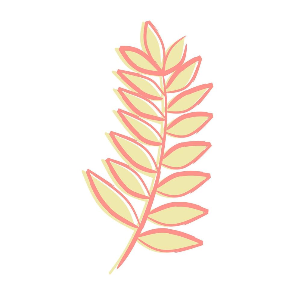 Exotic tropical leaf isolated on white background vector
