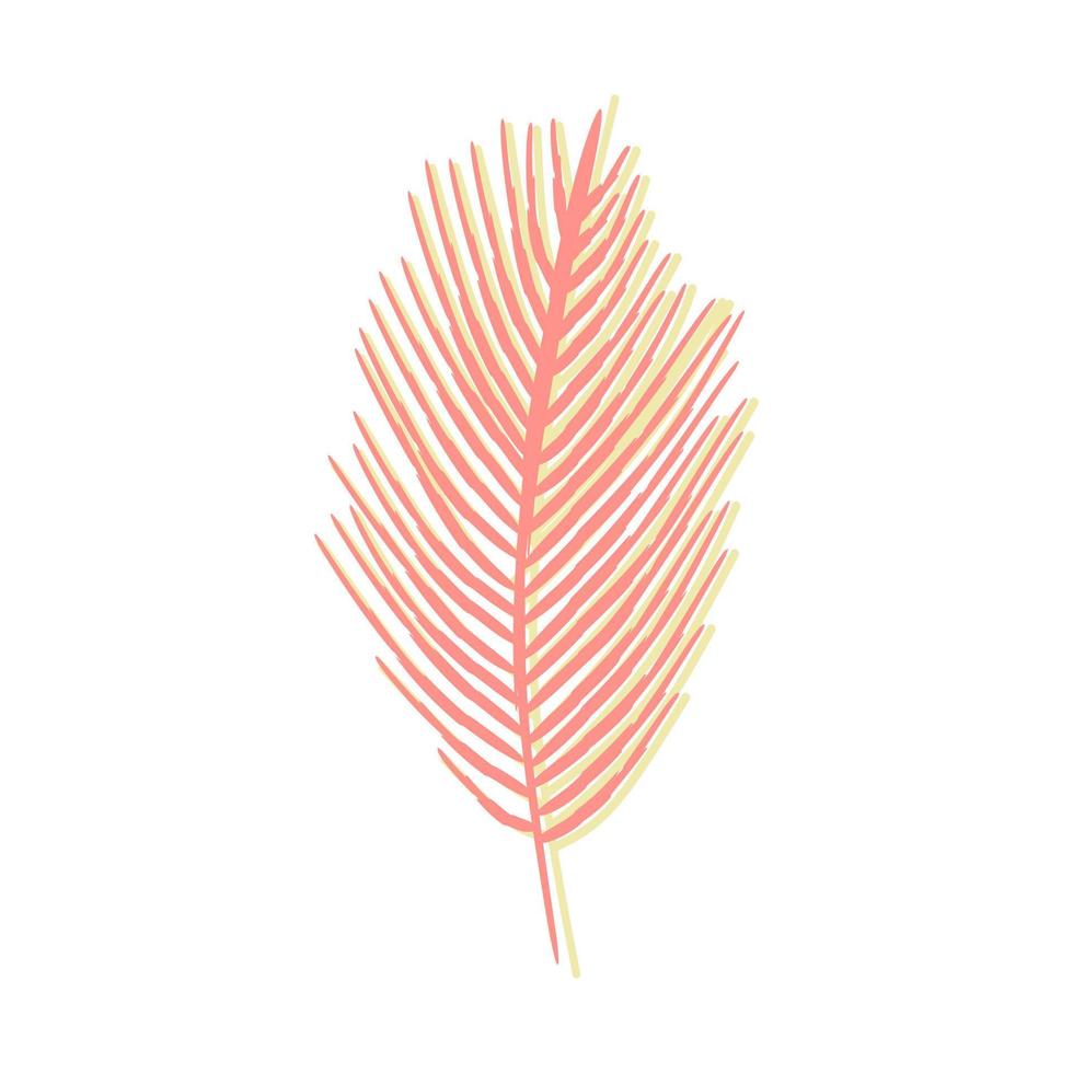Exotic tropical leaf isolated on white background vector