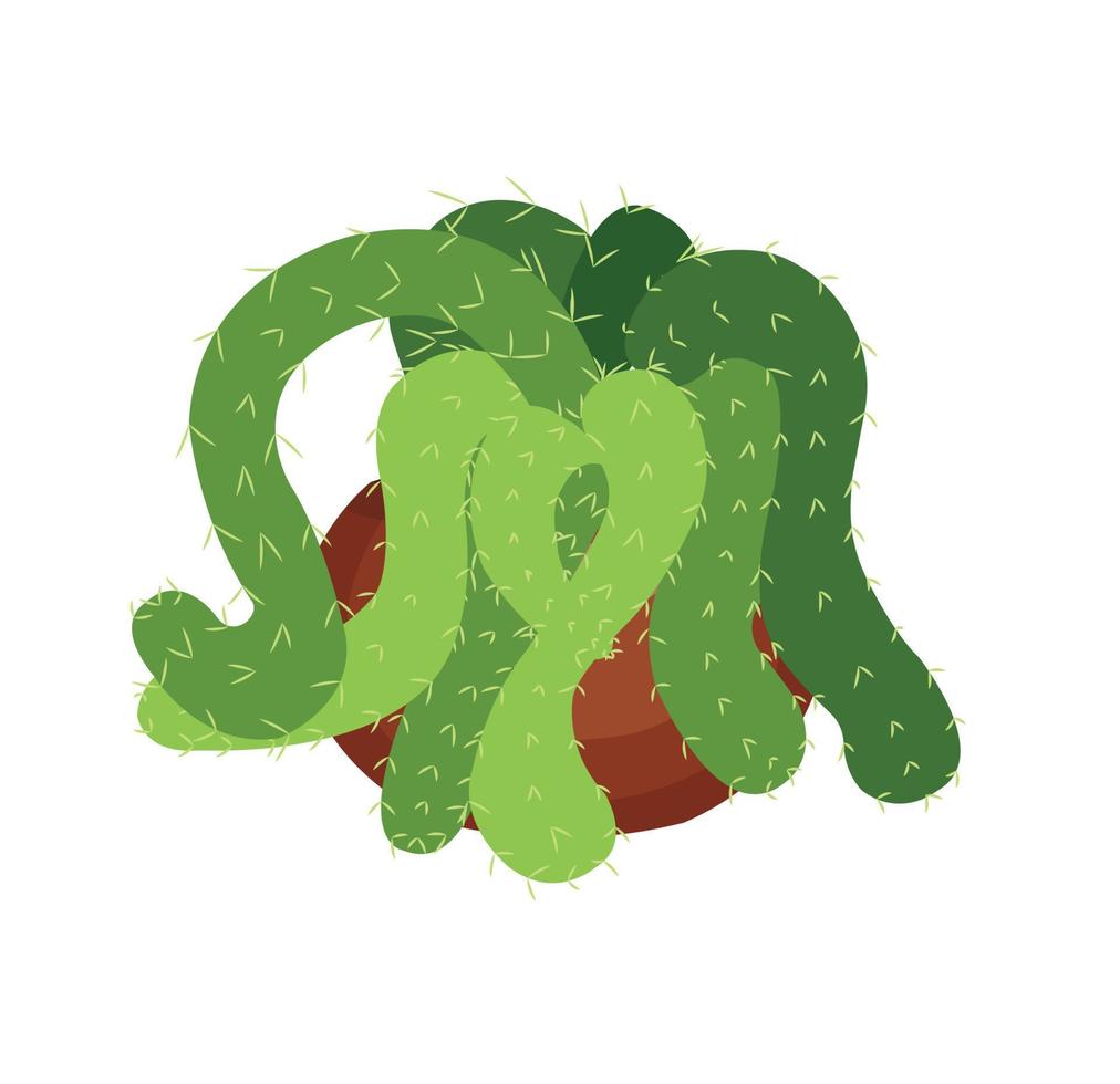 Echeveria cactus, succulent houseplant in a brown pot. Succulent. Cartoon. Vector illustration isolated on white background.