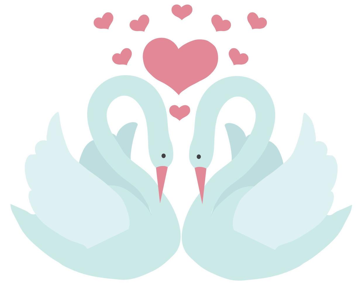 un par de cisnes blancos y corazones rosas saliendo de ellos. estilo de dibujos animados ilustración de stock vectorial aislada sobre fondo blanco. vector