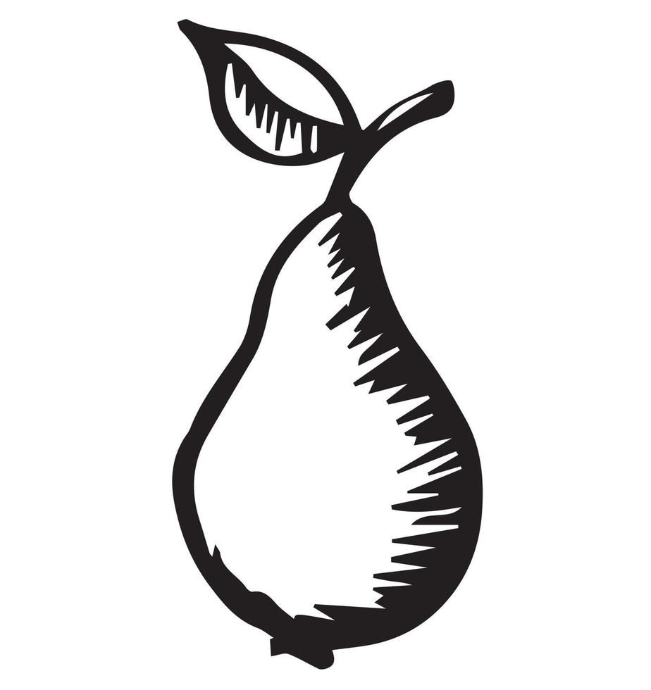 Pear, summer fruit. Made in the style of engraving. handmade. Vector illustration isolated on white background. Suitable for postcard, label, poster, print.