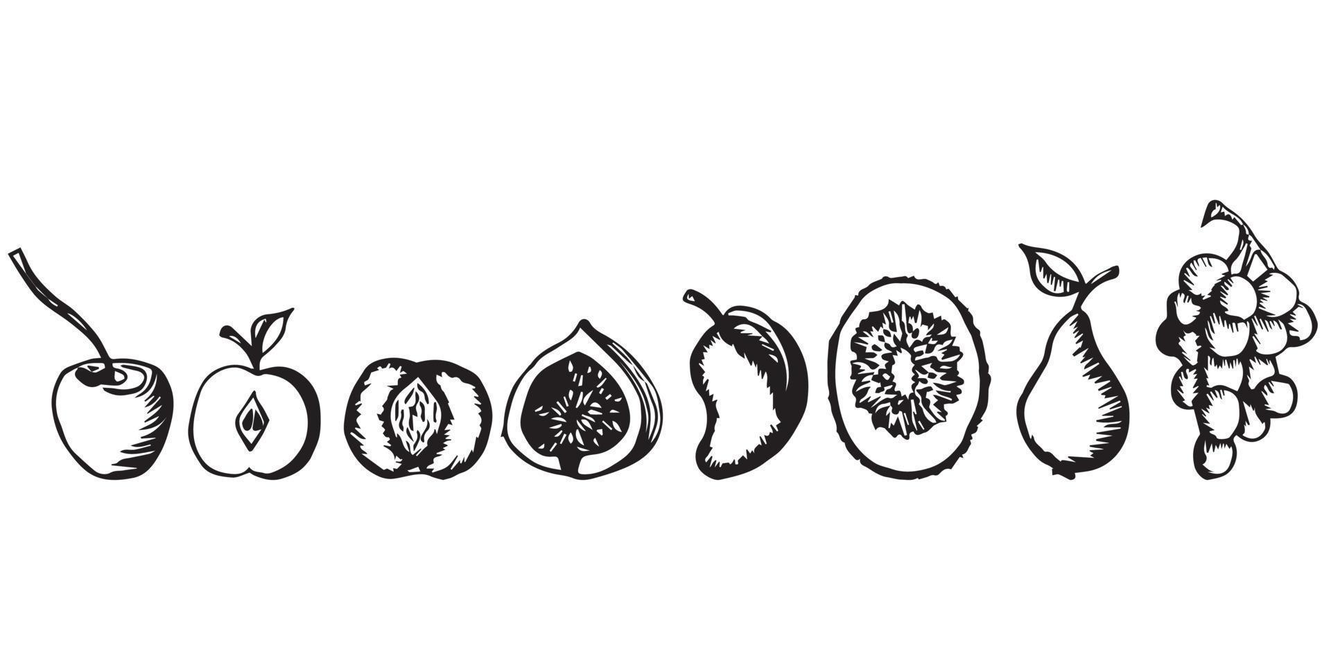 Fruit set, kiwi, cherry, pear, grape, fig, apple, peach, mango. Graphics. Hand drawing. Vector illustration isolated on white background.