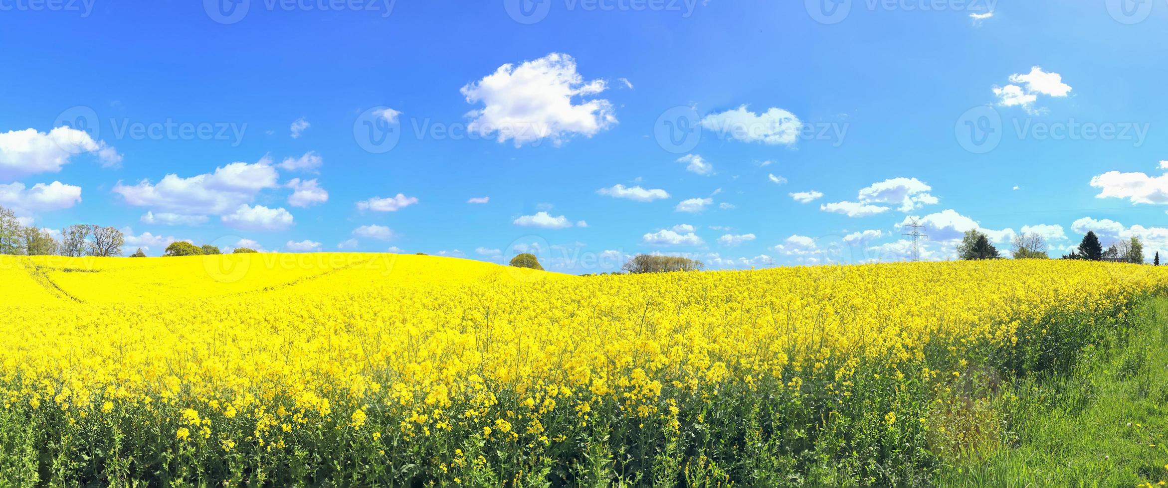 hermoso panorama de alta resolución de un paisaje del norte de Europa con campos y hierba verde foto