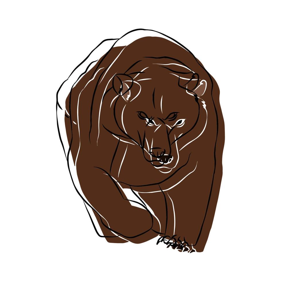 Beautiful bear image, used in general work vector