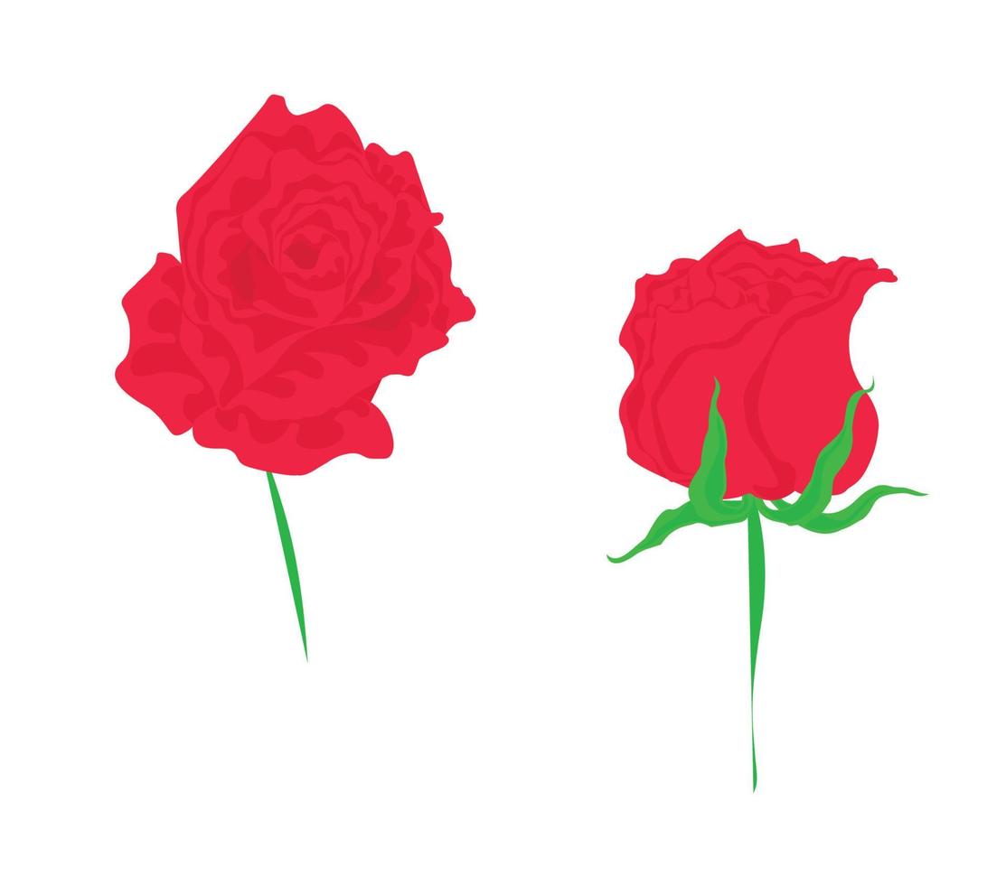 hermosas rosas, utilizadas en aplicaciones generales vector