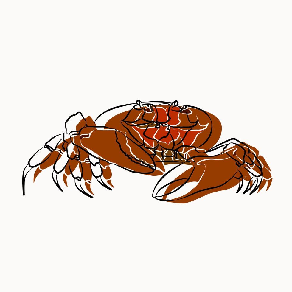 Beautiful crabs, used in general work vector