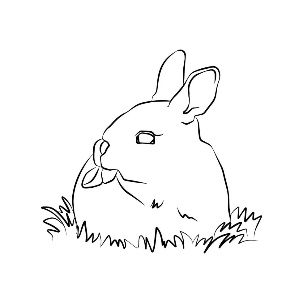 Beautiful rabbit stripes, used in general applications vector