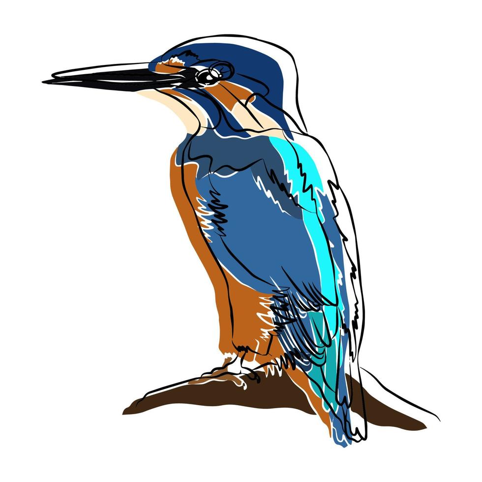 hermosos retratos de aves, utilizados en aplicaciones generales vector