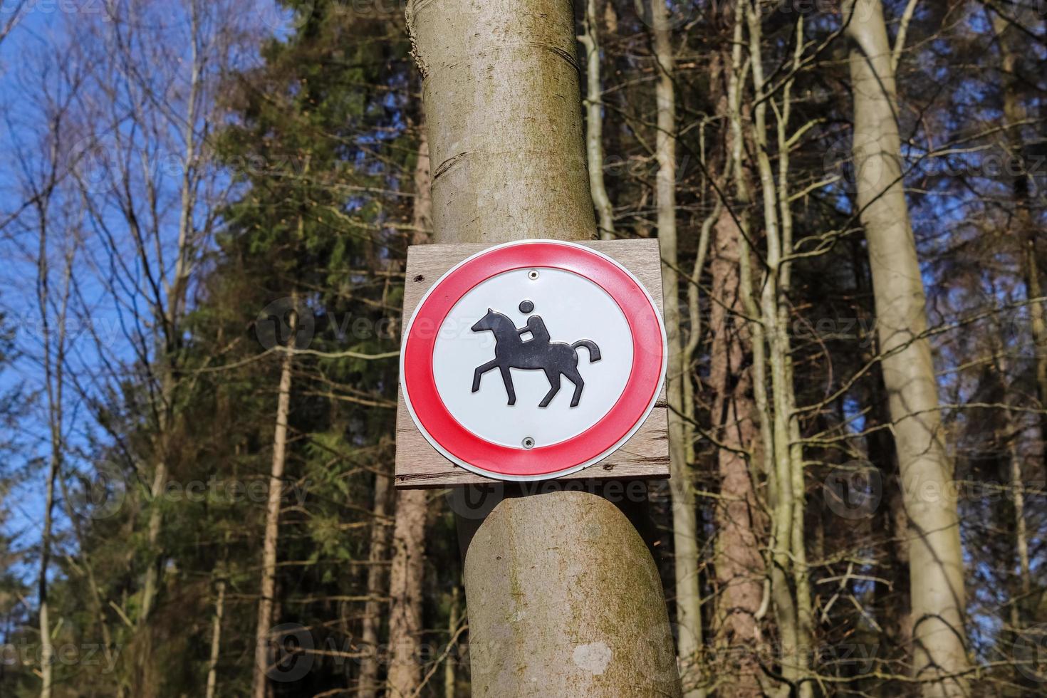 Prohibition sign for horses and riders tied to a tree in a forest. photo