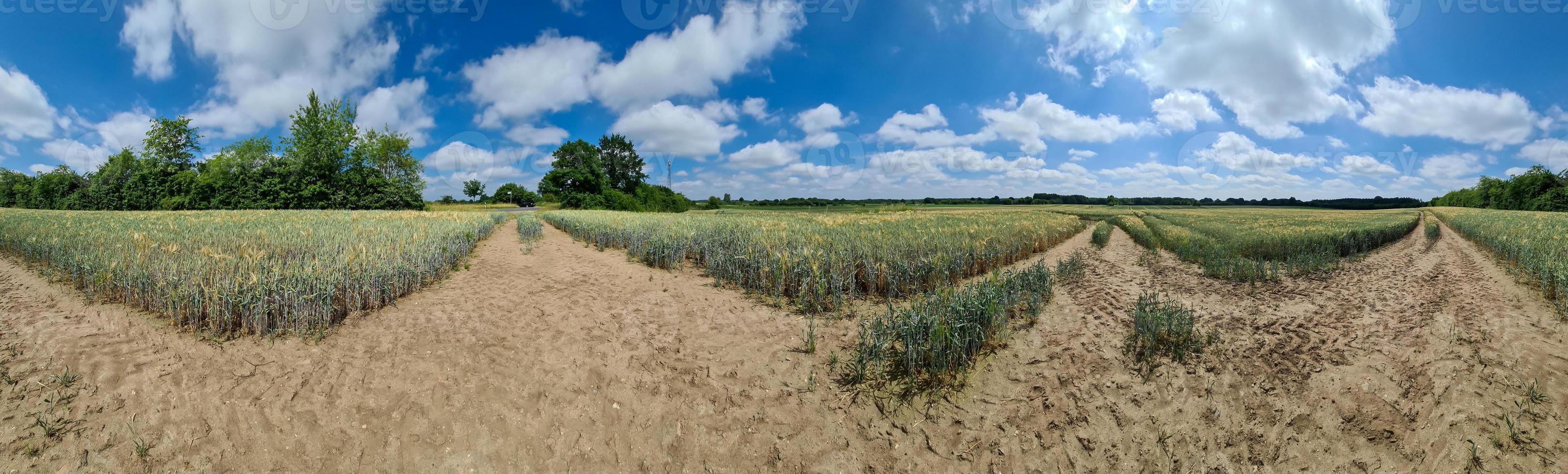 Beautiful high resolution panorama of a northern european country landscape with fields and green grass photo