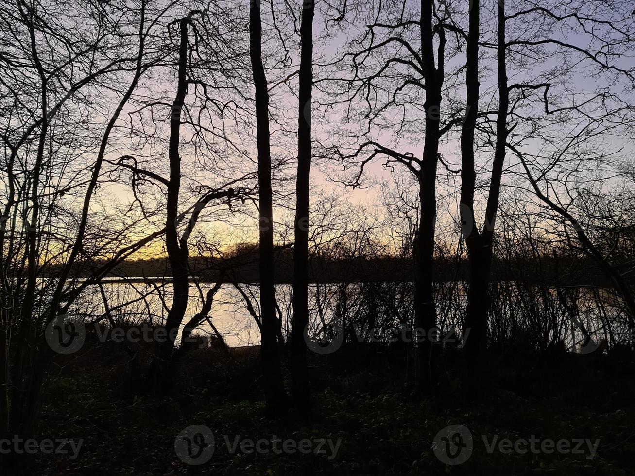 un lago al atardecer con siluetas de árboles. foto