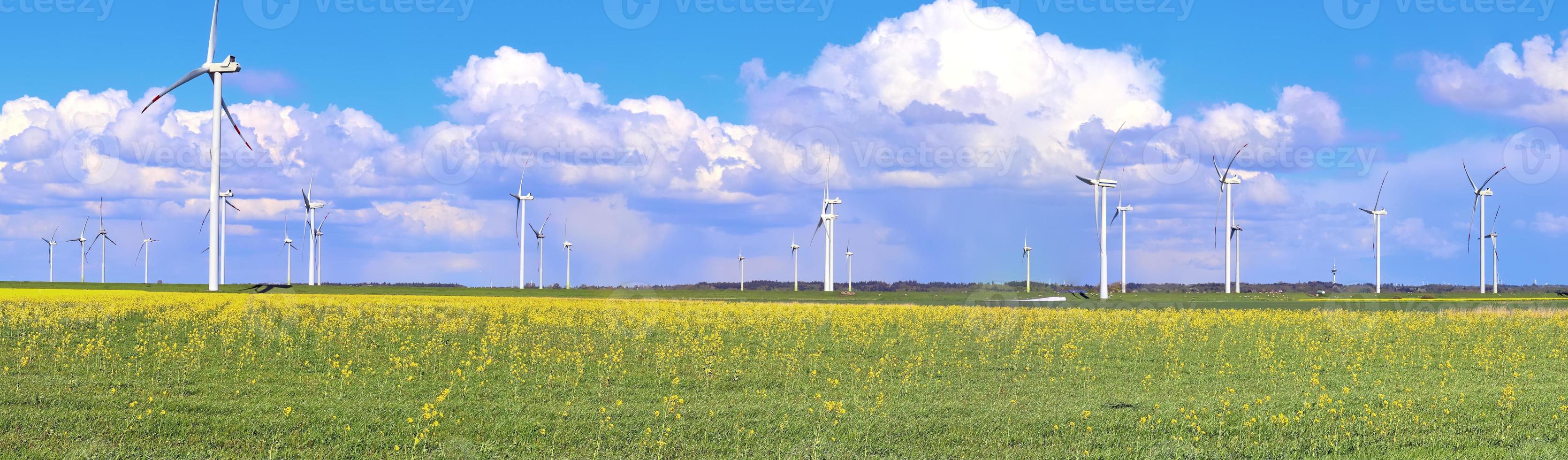 Panoramic view on alternative energy wind mills in a windpark in northern europe photo