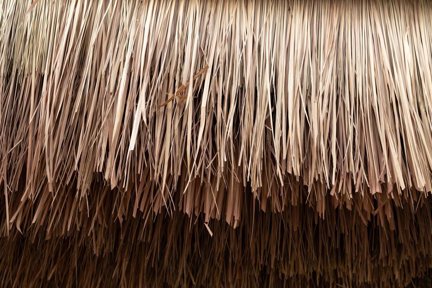 closeup of thatch roof background. straw roof. photo