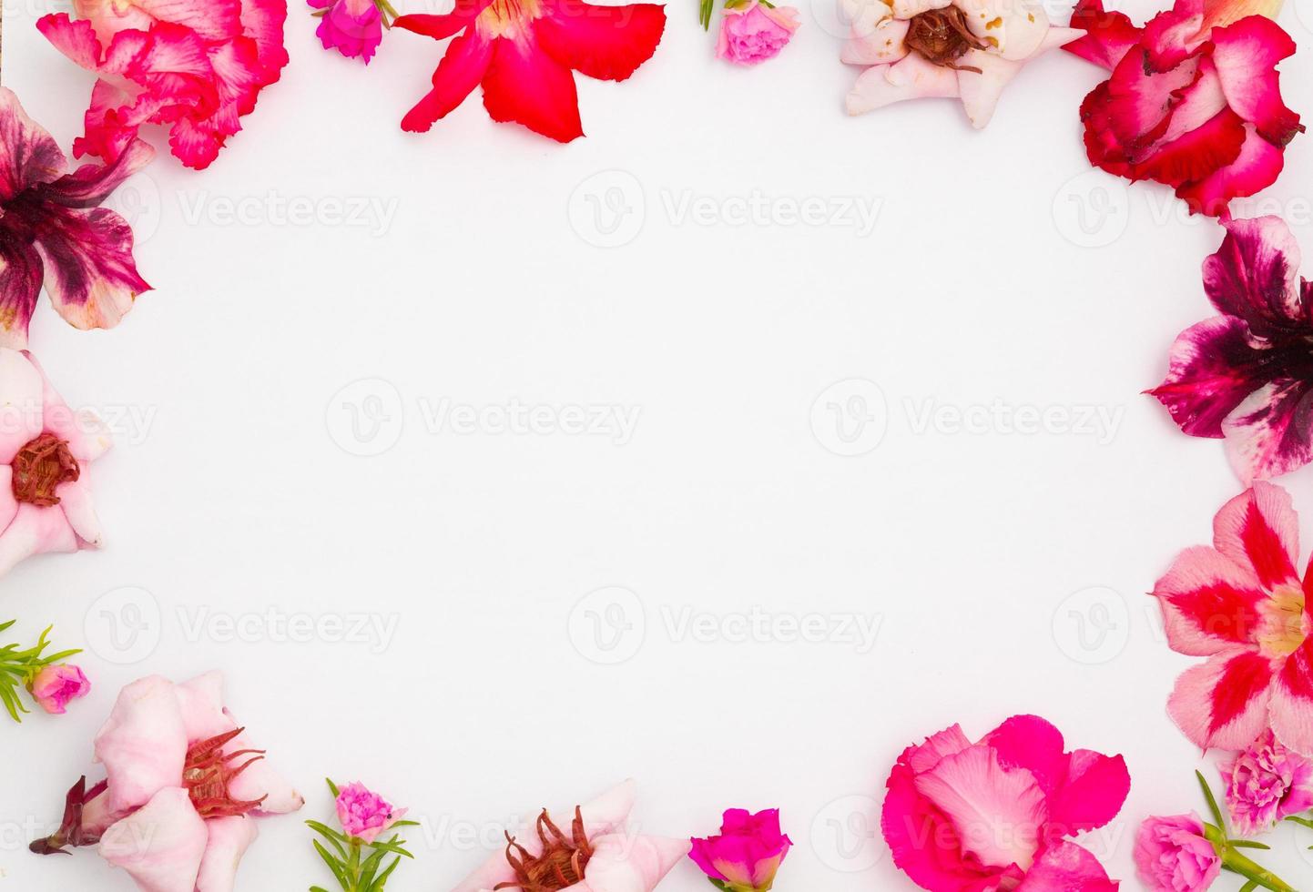 Pink azalea flowers and empty paper sheet.spring border pink blossom, top view. Blank template for your text. flat lay. photo