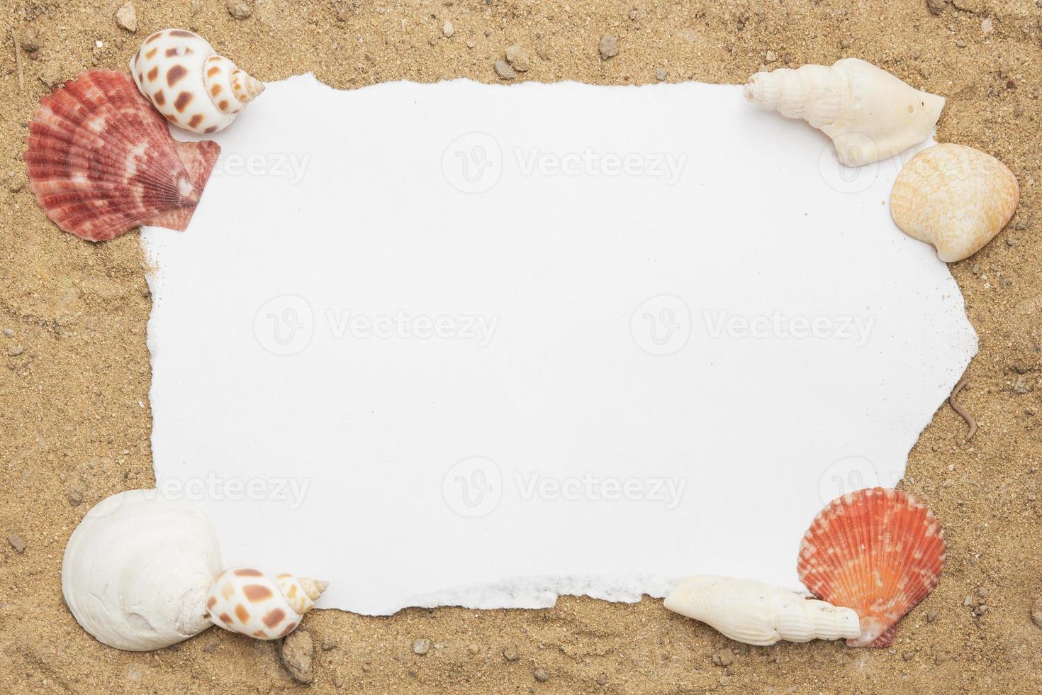 Blank paper concept for text with frames adorned with shells on a sandy background. photo