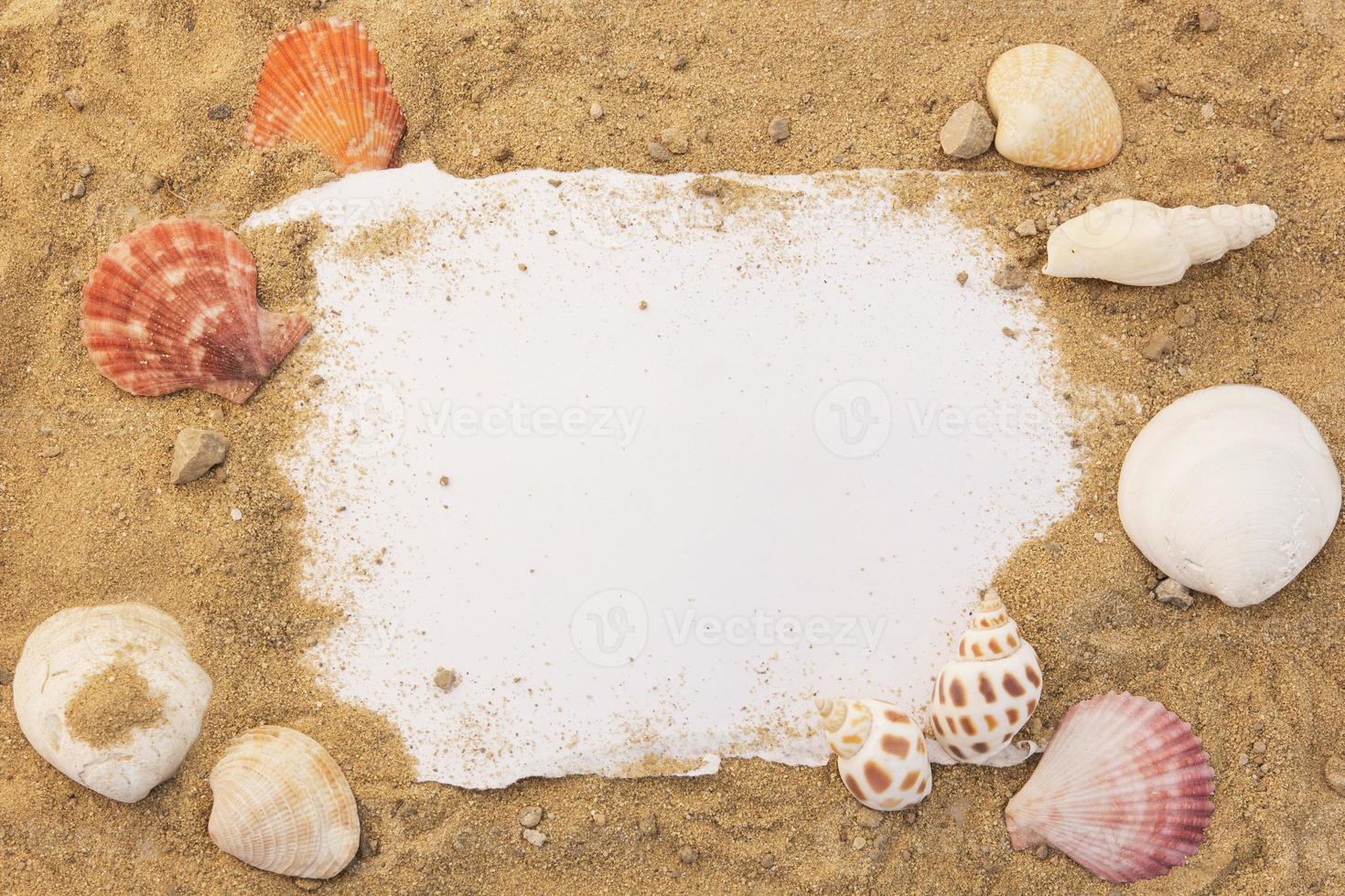 Blank paper concept for text with frames adorned with shells on a sandy background. photo