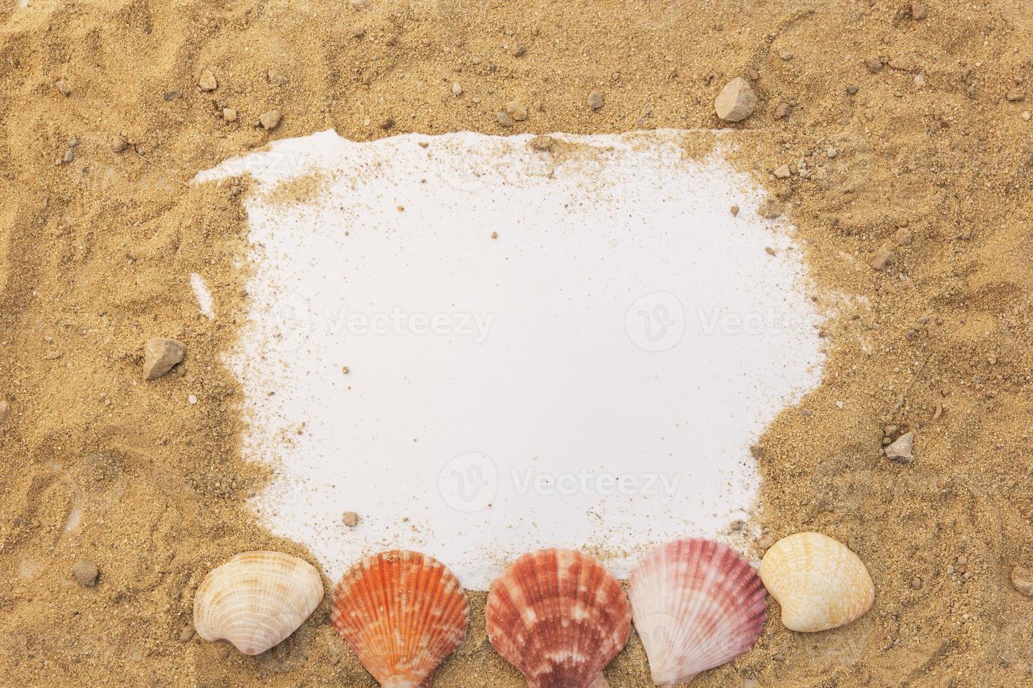 Blank paper concept for text with frames adorned with shells on a sandy background. photo