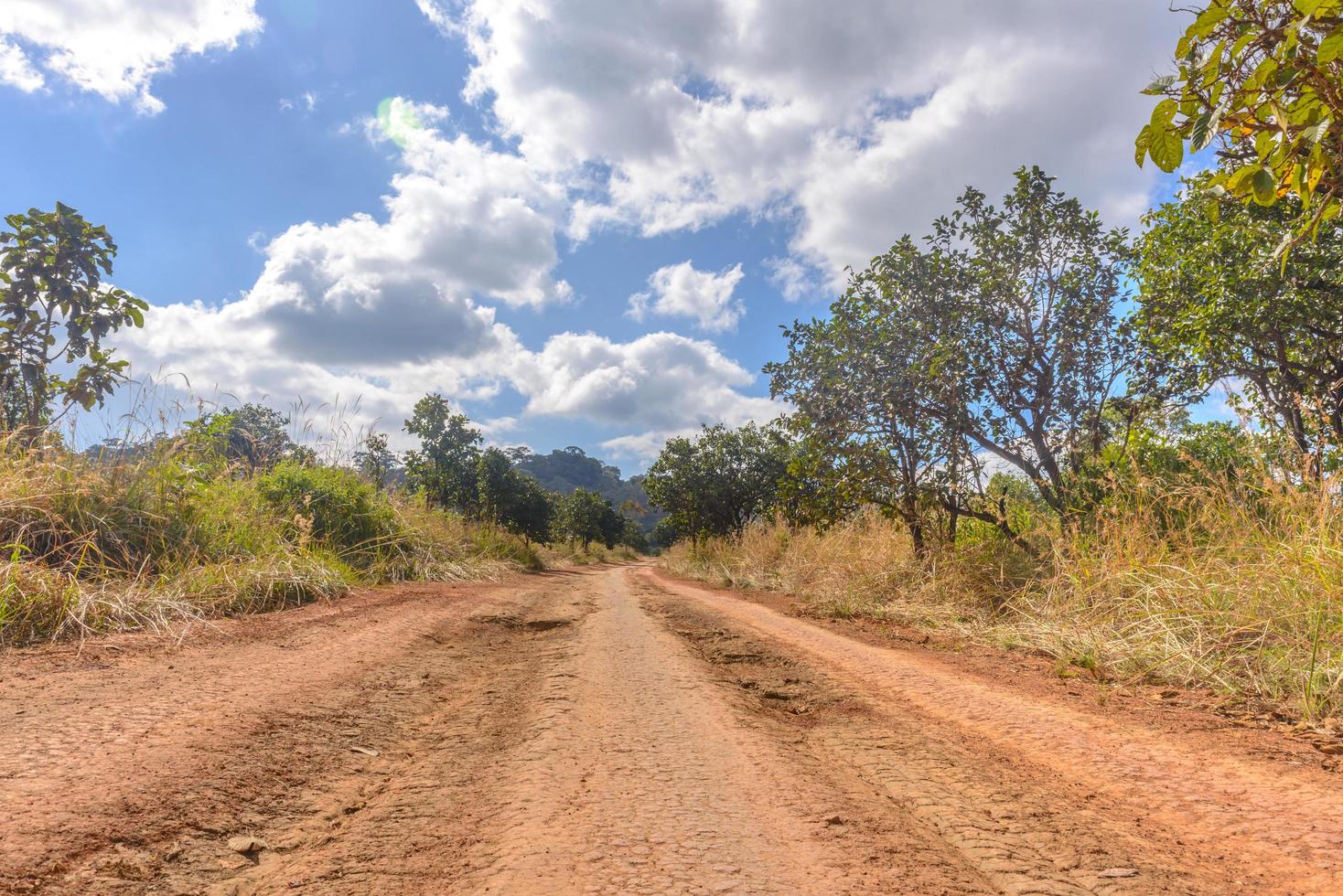 Dirt road in Thung Salaeng Luang Nation Park, Thailand photo