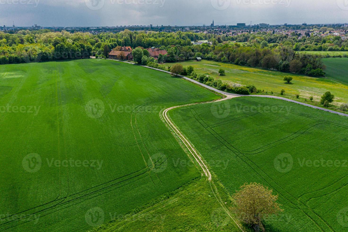 una vista de drones de los hermosos prados verdes jóvenes foto