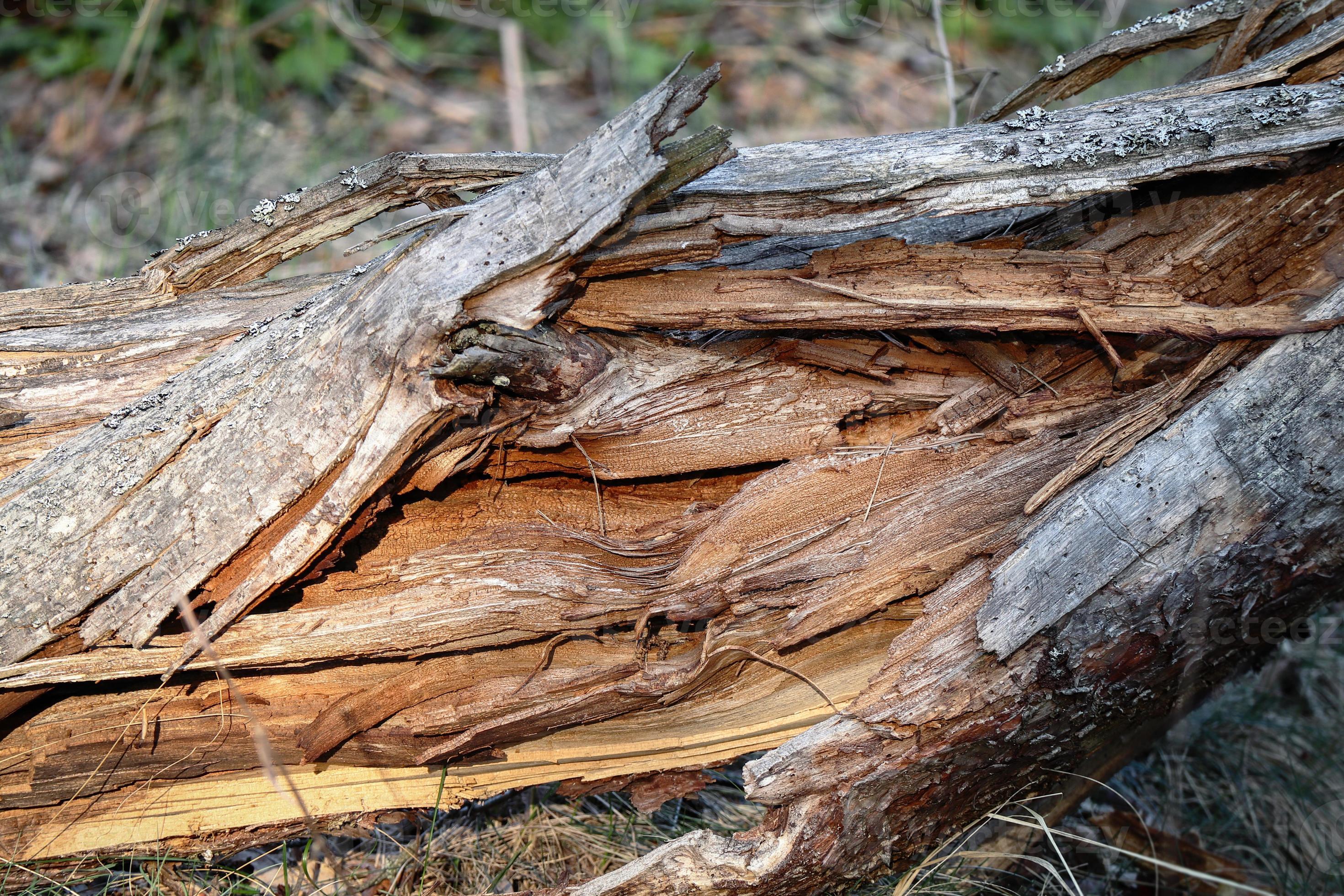 Sobre A5 Blanco Roto Texturado - Una casa en el árbol