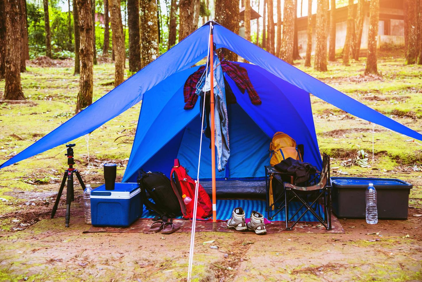 viajar por la naturaleza en las vacaciones y acampar en el parque nacional doi intanon en tailandia. foto