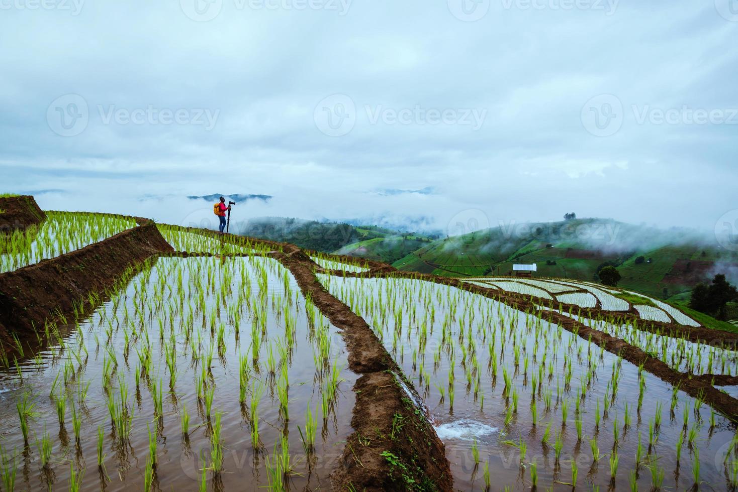 Asian woman travel nature. Travel relax. Walking take a photo on the field. in summer.