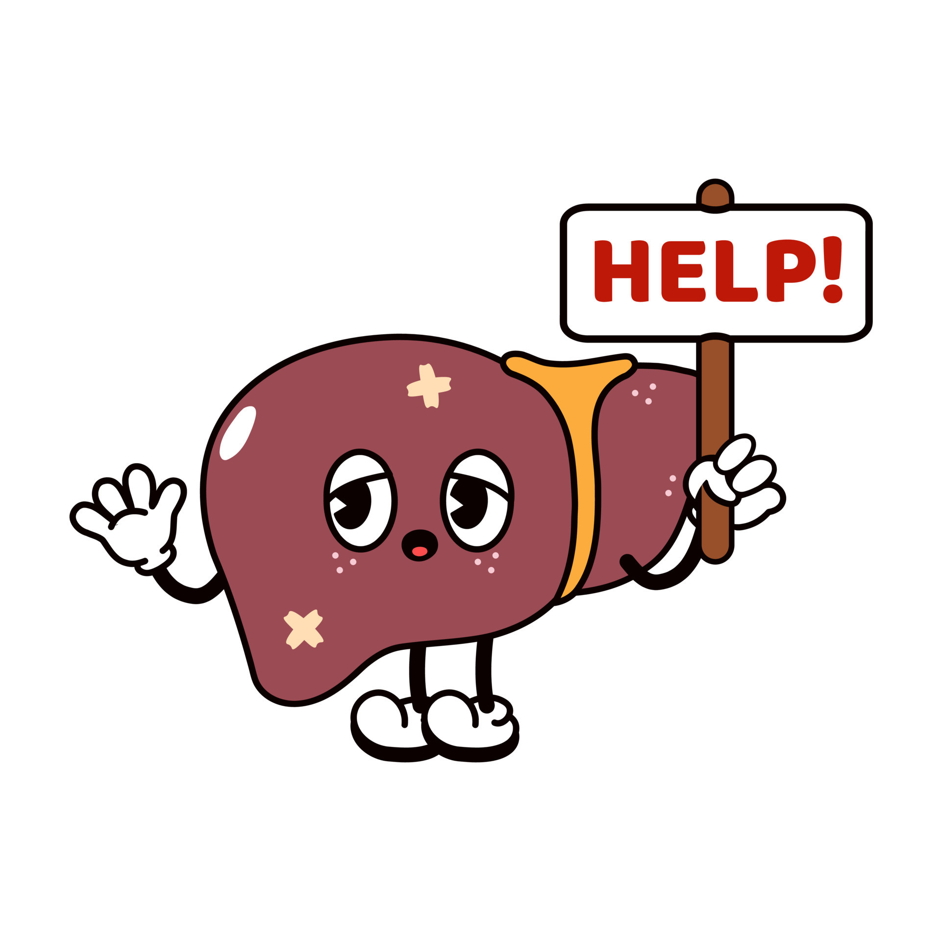 Sad suffering sick cute human liver organ asks for help character. Vector flat cartoon illustration icon design. Isolated on white backgound. Suffering unhealthy liver character concept 8007626 Vector Art at Vecteezy Sad suffering sick cute human liver organ asks for help character. Vector flat cartoon illustration icon design. Isolated on white backgound. Suffering unhealthy liver character concept 8007626 Vector Art at Vecteezy