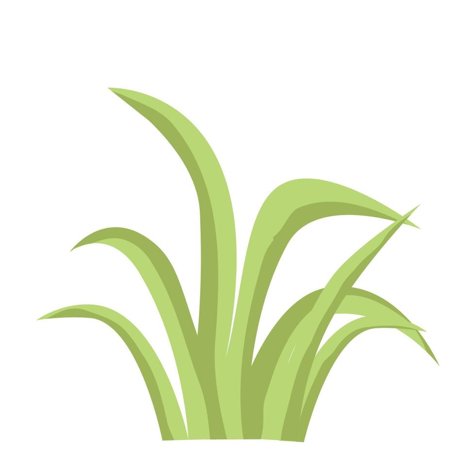 ilustración de objeto aislado de vector de hierba verde de planta de dibujos animados