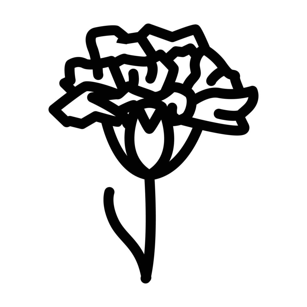 ilustración de vector de icono de línea de flor de clavel