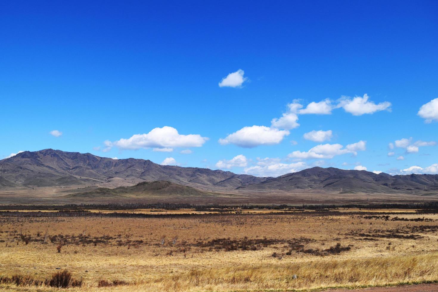 the nature of Eastern Siberia. Republic of Tyva photo