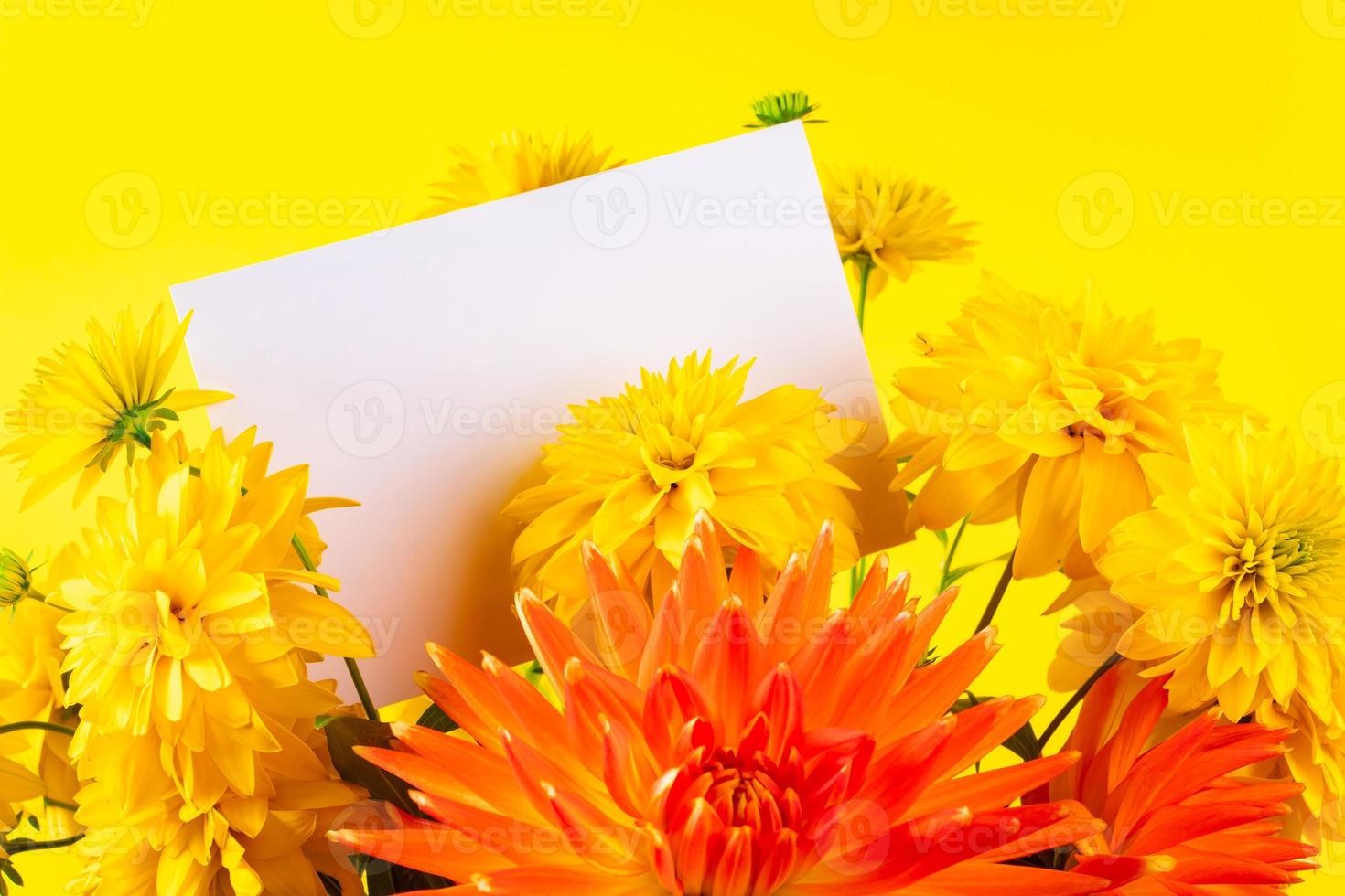 Bouquet of yellow summer flowers and blank greeting card on bright background. Holiday invitation concept, place for text. photo