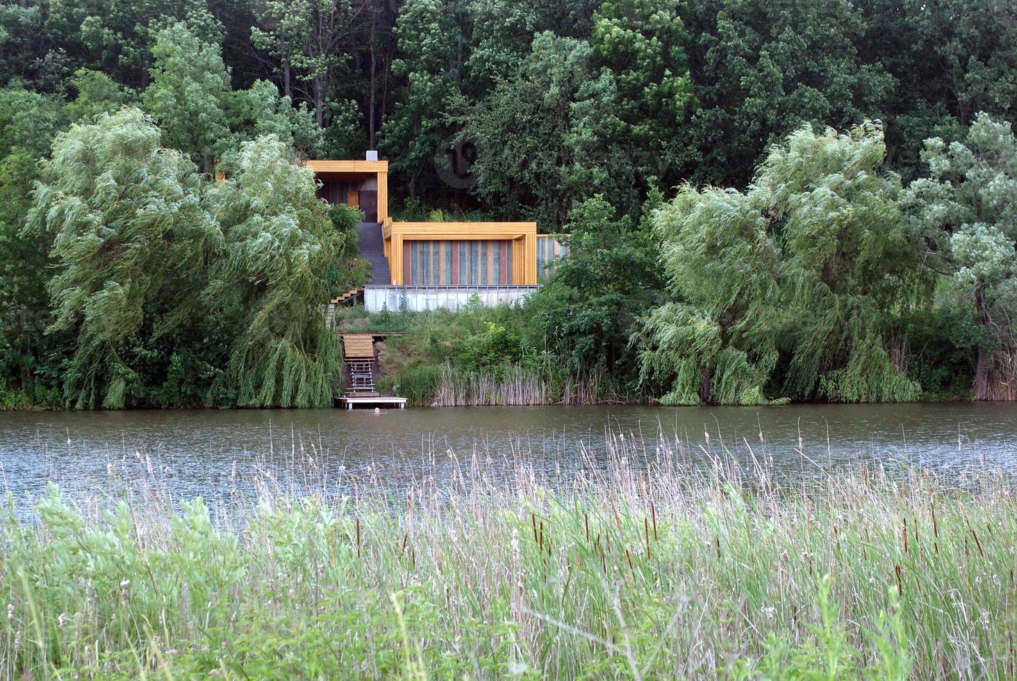 lake reeds and trees photo