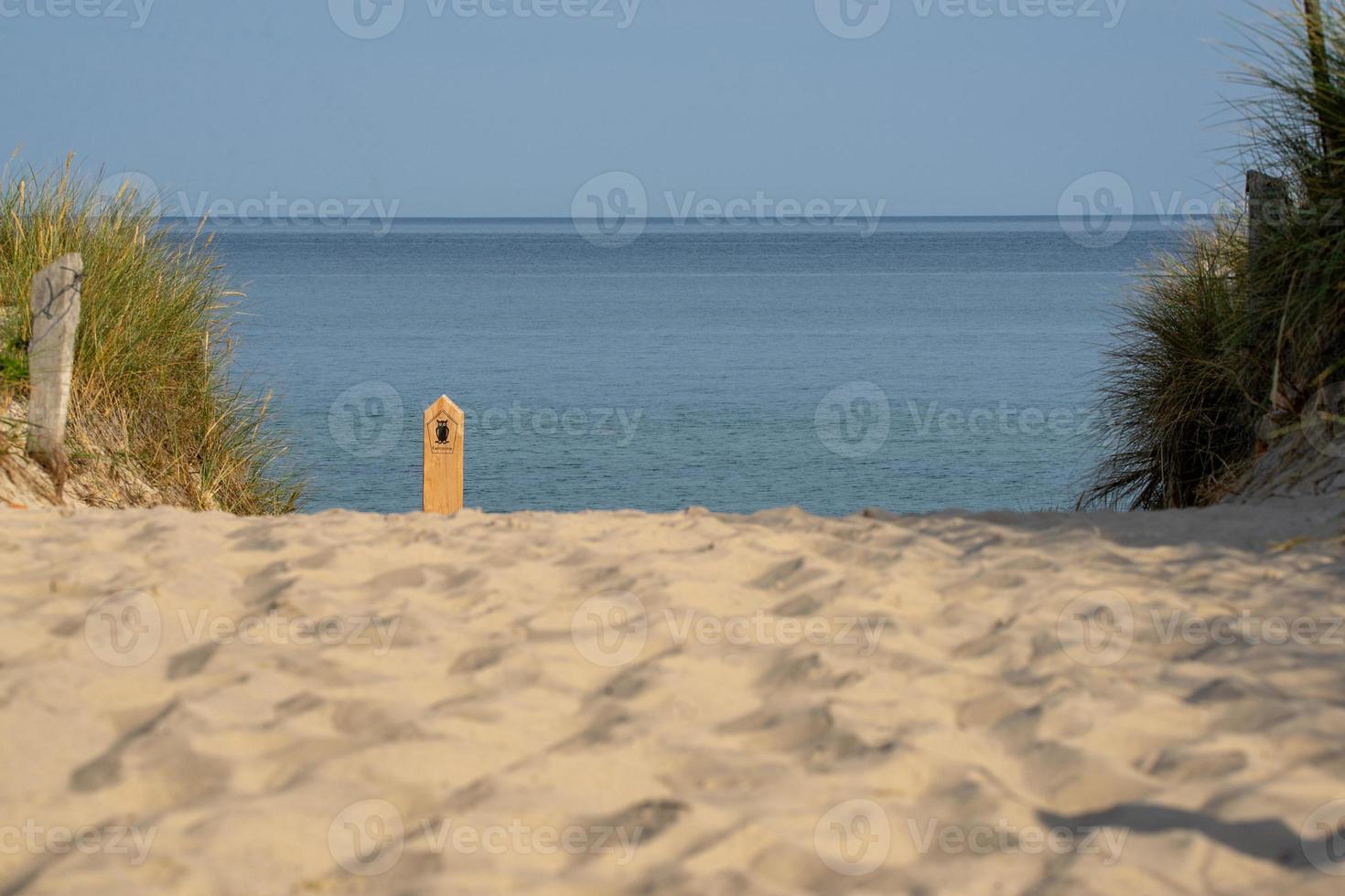 Beach nature reserve photo