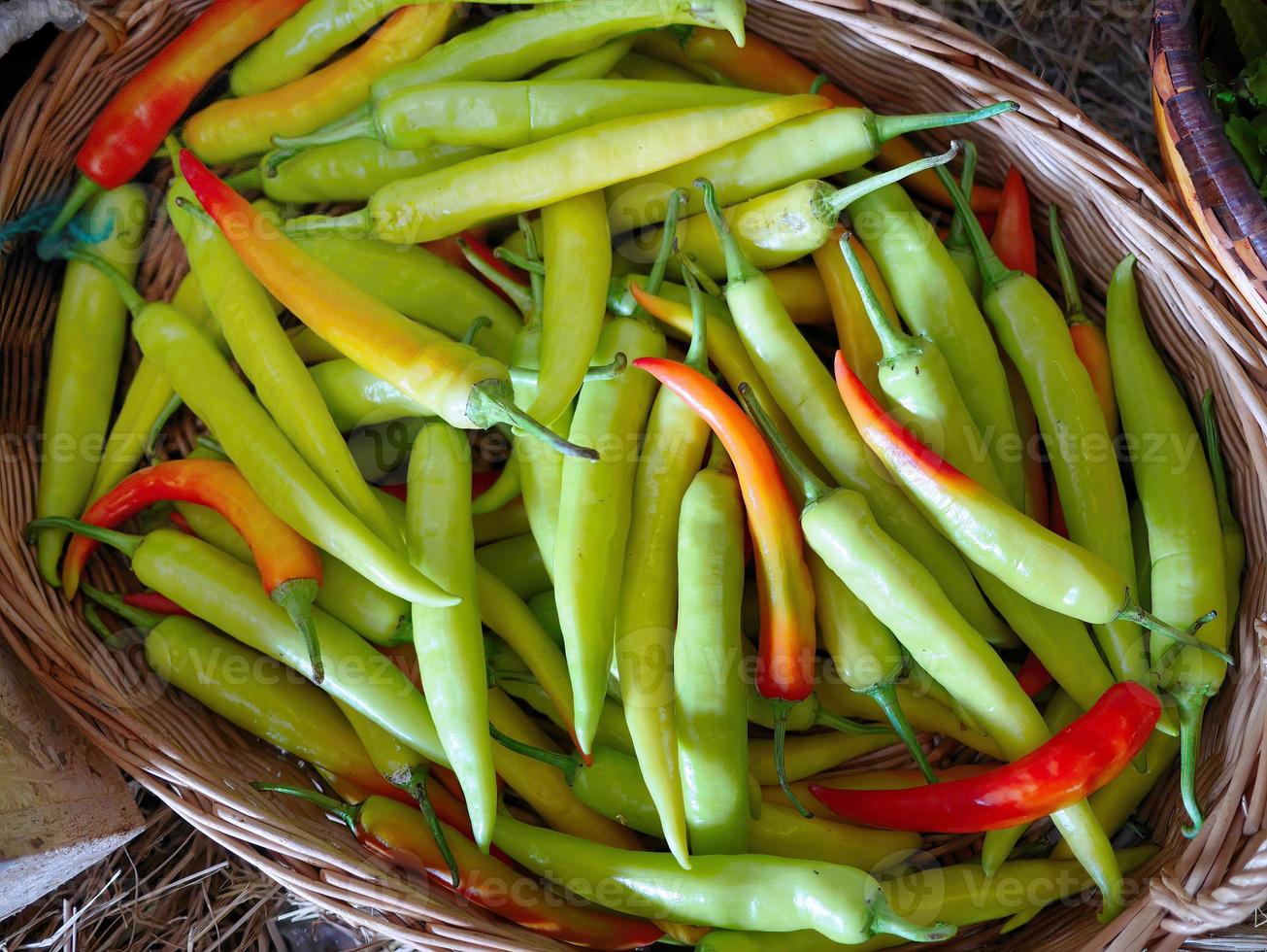 fresh green and red chilli in the rattan basket selling in organic local market thailand photo