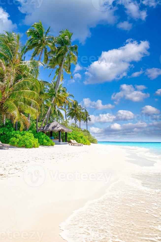 concepto de naturaleza de playa. Palm Beach en una idílica isla paradisíaca tropical. paisaje exótico para el uso de paisajes de verano de ensueño e inspiración como fondo o papel tapiz foto