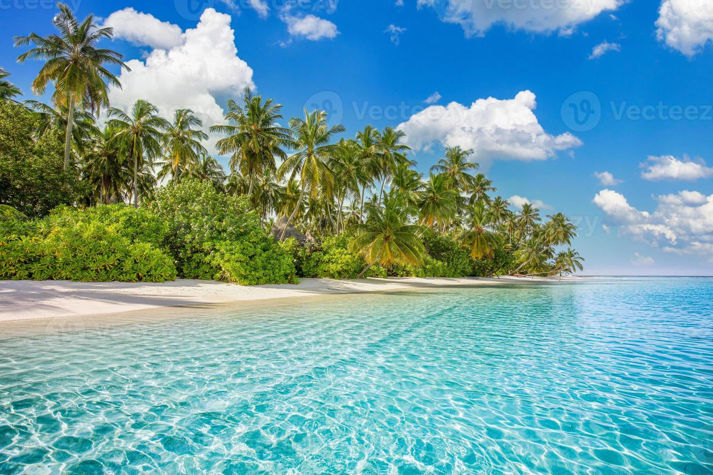 Beach nature concept. Palm beach in tropical idyllic paradise island. Exotic landscape for dreamy and inspirational summer scenery use for background or wallpaper photo