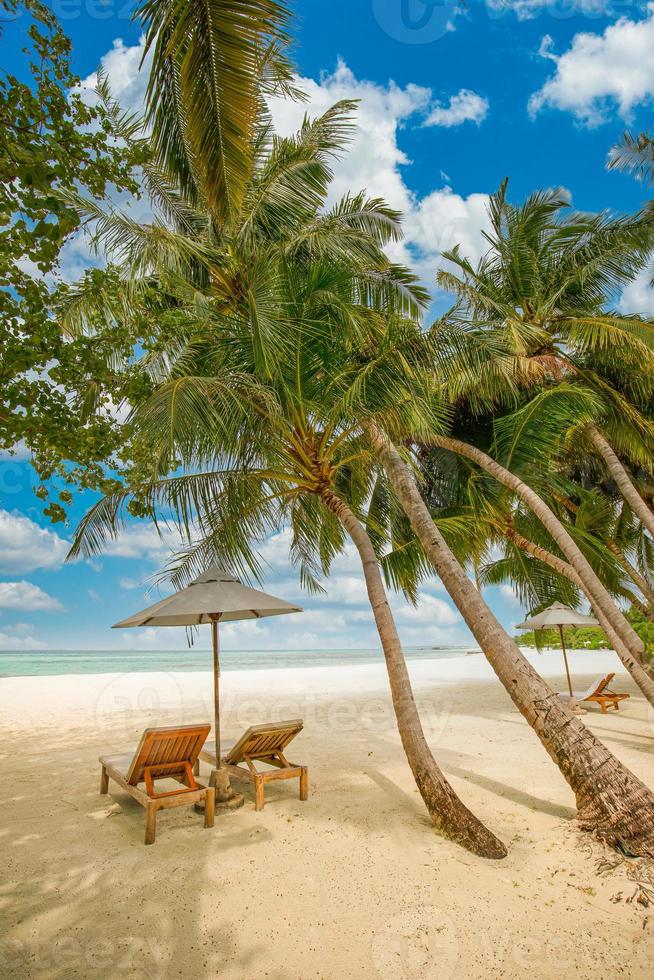 Beautiful tropical island scenery, two sun beds, loungers, umbrella under palm tree. White sand, sea view with horizon, idyllic blue sky, calmness and relaxation. Inspirational beach resort hotel photo