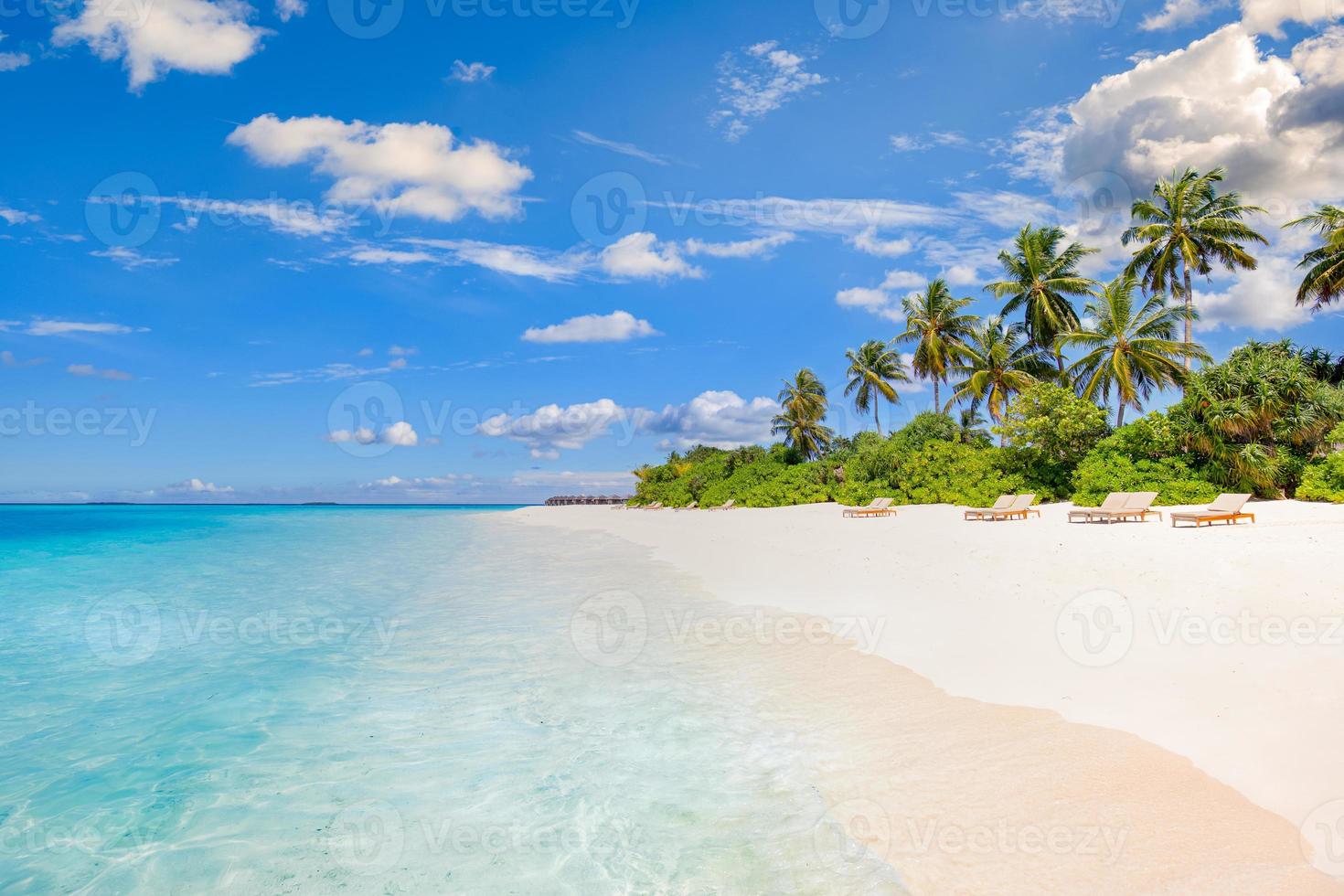 Beach nature concept. Palm beach in tropical idyllic paradise island. Exotic landscape for dreamy and inspirational summer scenery use for background or wallpaper photo