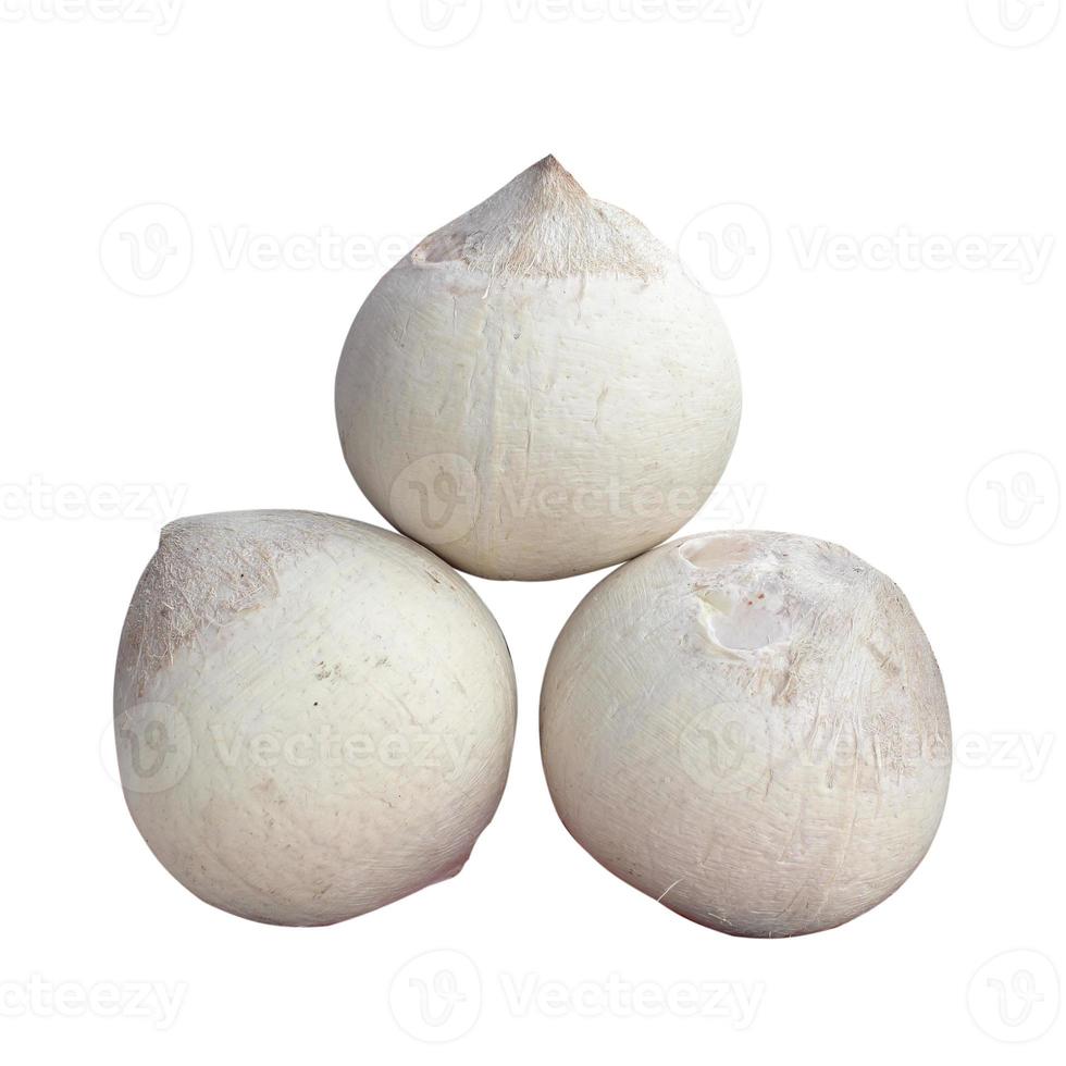 Young Coconut on White Background photo