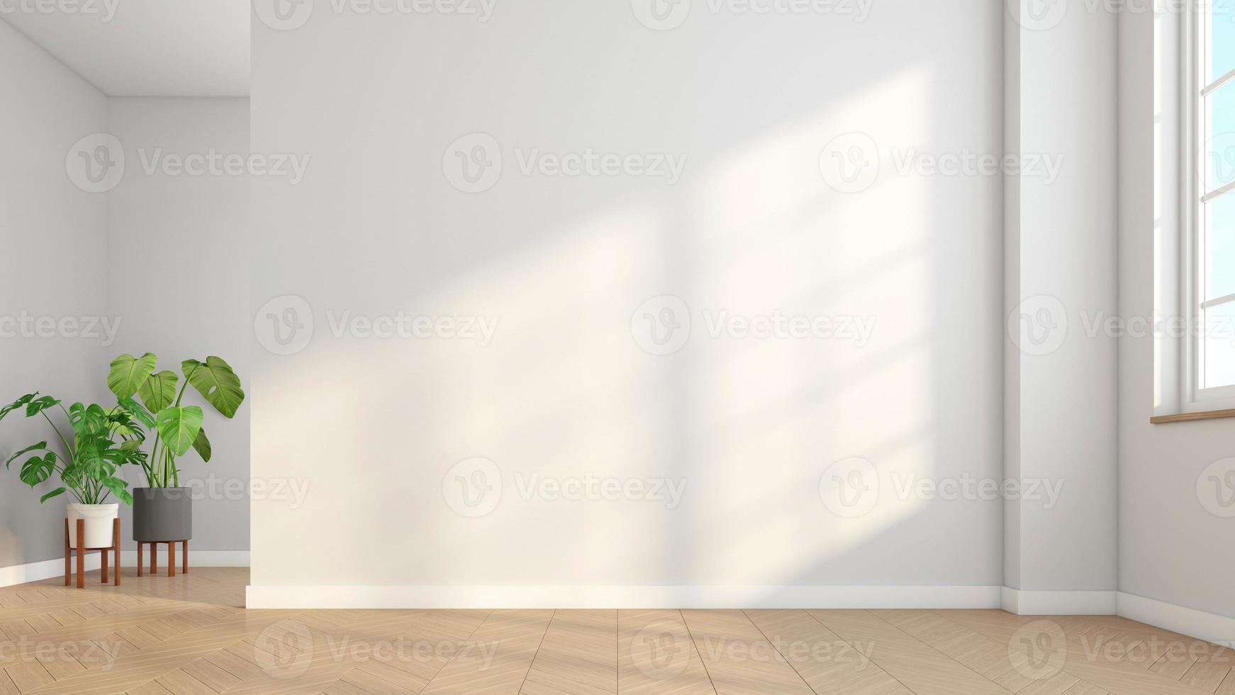 Minimalist empty room with white wall and wooden floor and indoor green plants. 3d rendering photo