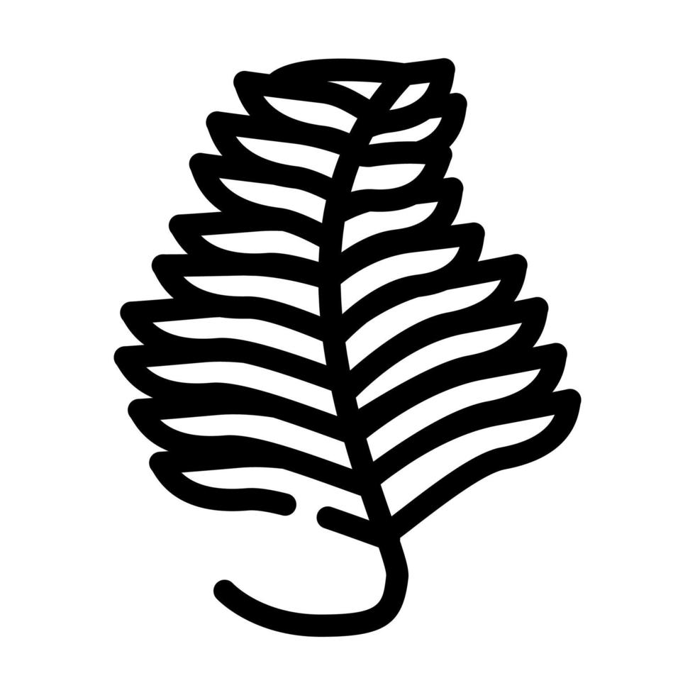 undaria plumosa algas línea icono vector ilustración