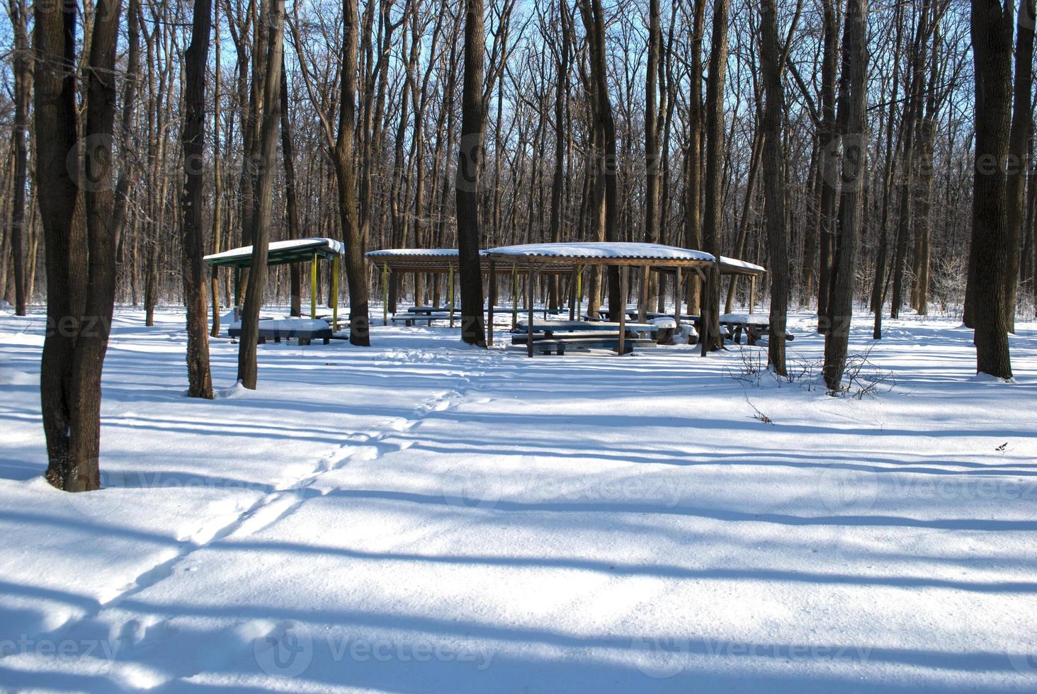 Benches and a roof for rest photo