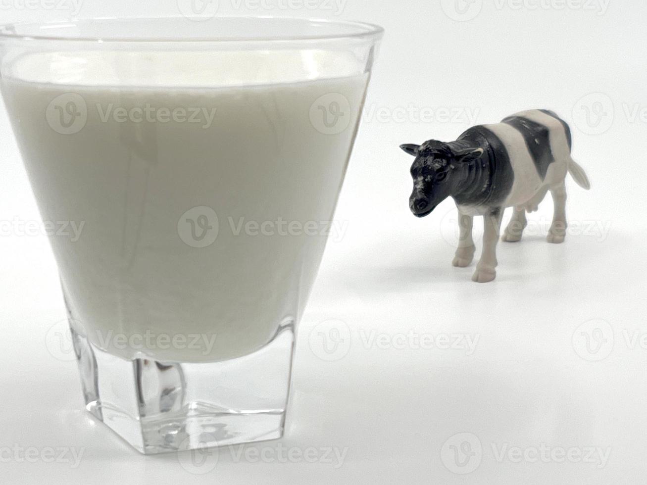 vaca y leche para el día mundial de la leche Foto